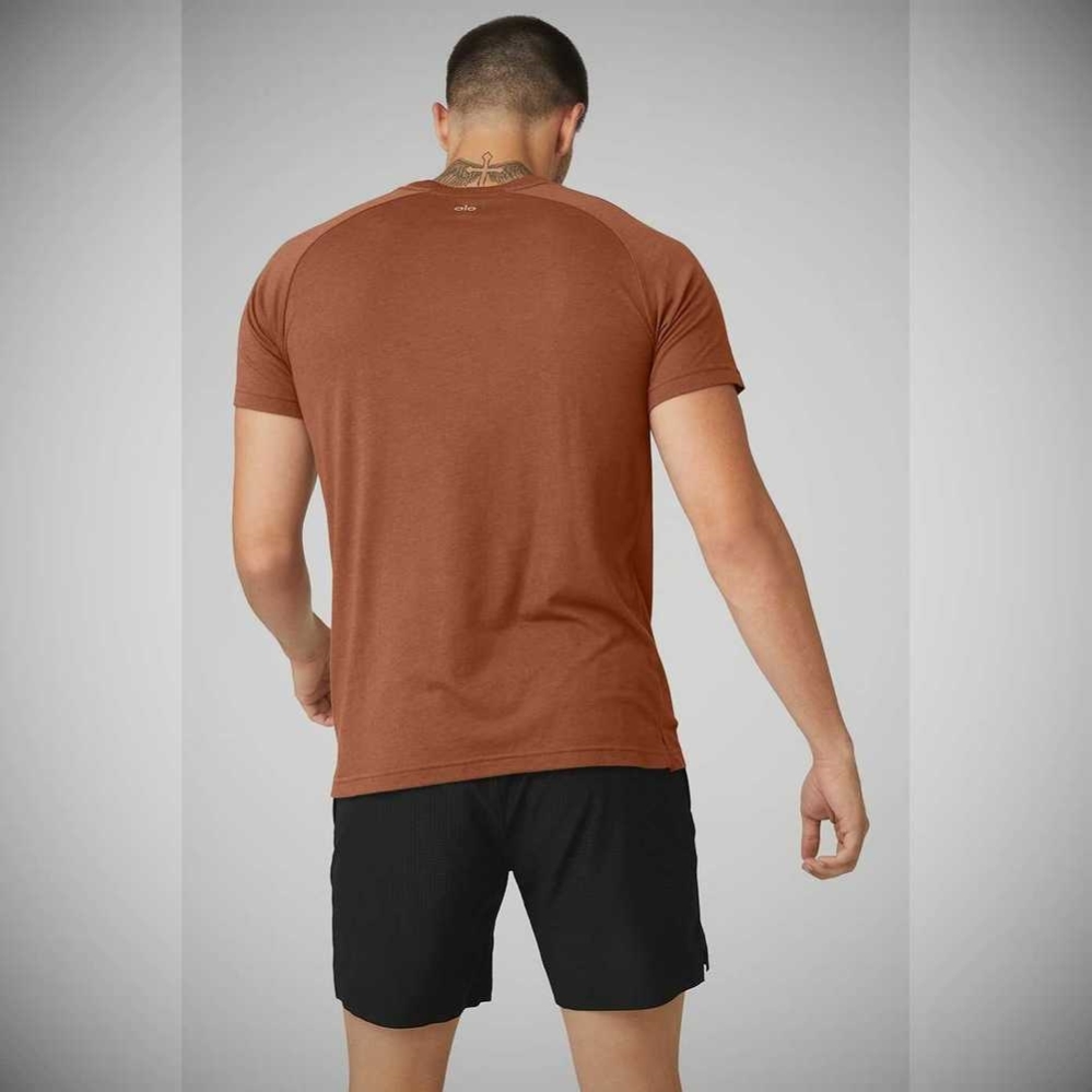 Alo Yoga The Triumph Crew Neck Tee Short Sleeve Herren Rust | WHCQGU356