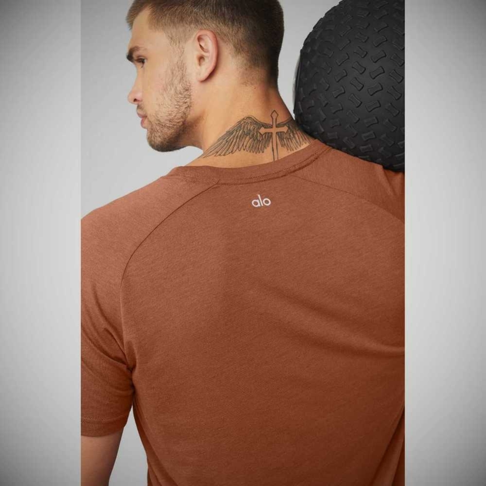 Alo Yoga The Triumph Crew Neck Tee Short Sleeve Herren Rust | WHCQGU356