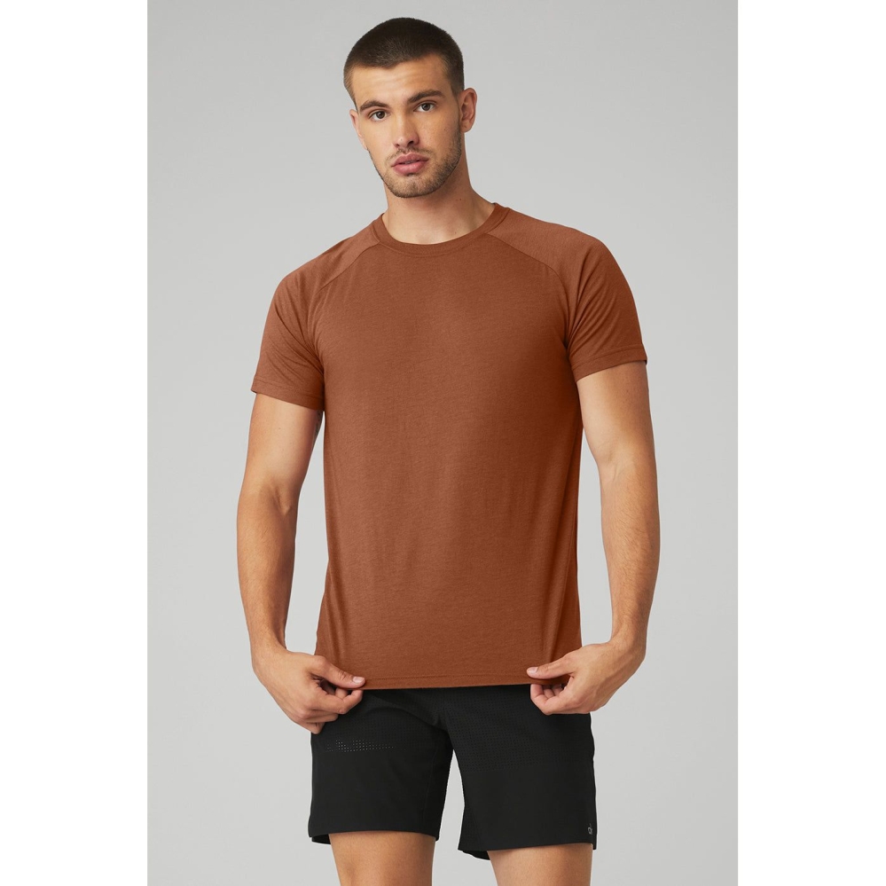 Alo Yoga The Triumph Crew Neck Tee Short Sleeve Herren Rust | WHCQGU356