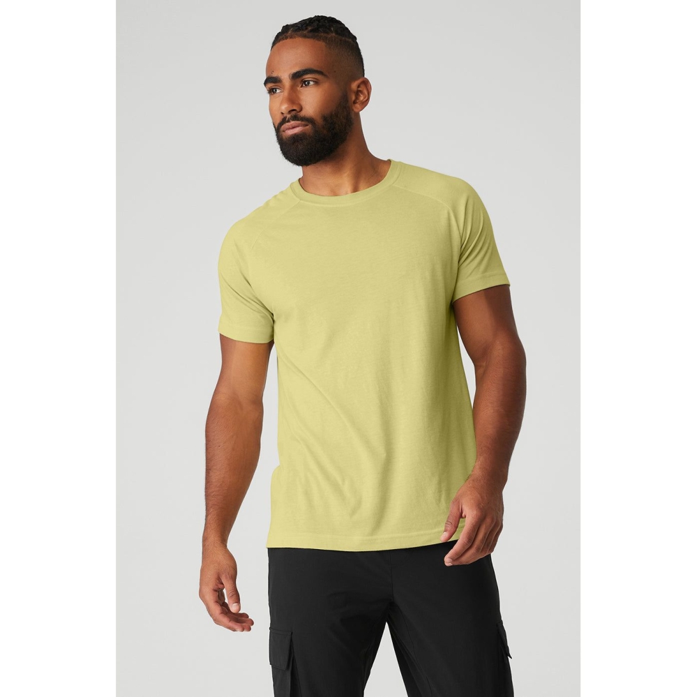 Alo Yoga The Triumph Crew Neck Tee Short Sleeve Herren Grau Gelb | YZGMNC190