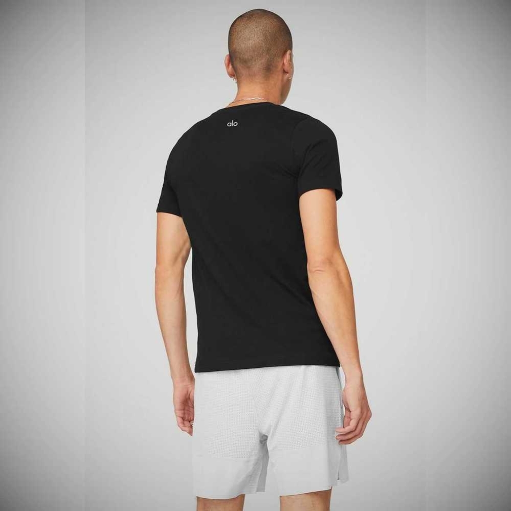 Alo Yoga The Triumph V-Neck Tee Short Sleeve Herren Schwarz | JVHEFC360