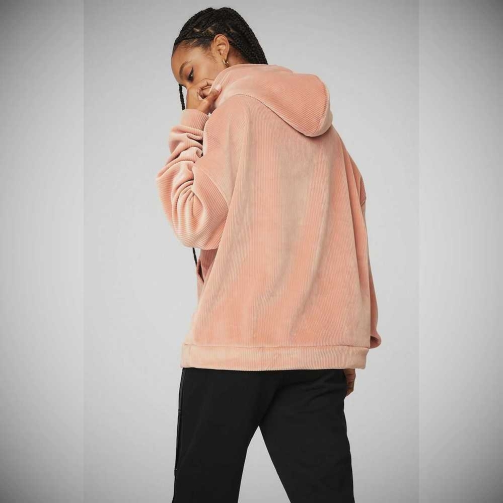 Alo Yoga Velour Baller Hoodie Damen Rosa Grau | YXCPRQ526