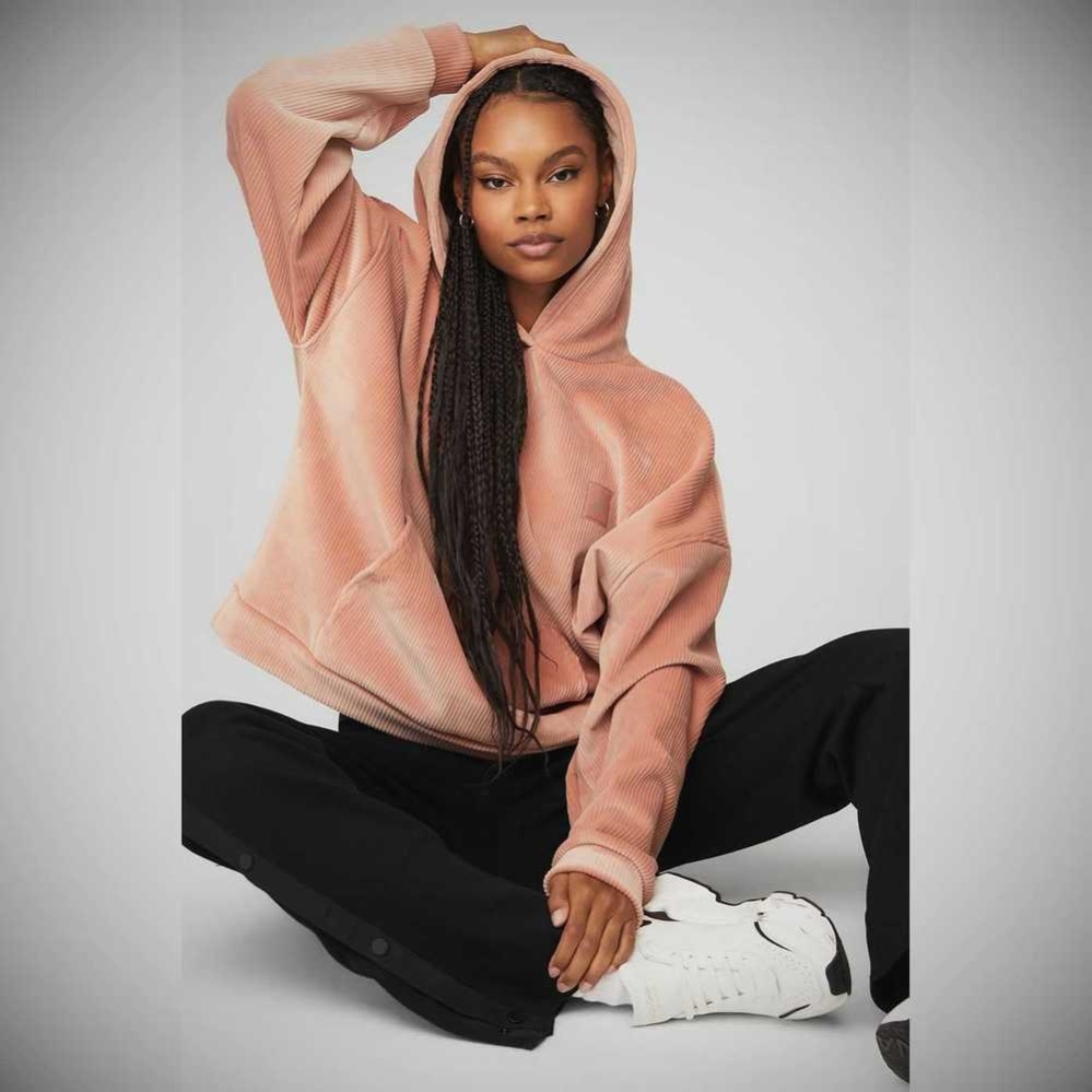 Alo Yoga Velour Baller Hoodie Damen Rosa Grau | YXCPRQ526